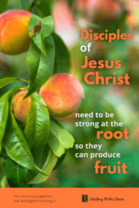 Link to Pinterest pin image of a fruit tree with text that reads "Disciples of Jesus Christ need to be strong at the root so they can produce fruit". 