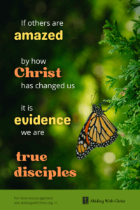 Link to Pinterest pin image of a butterfly hanging on an evergreen bush with text that reads "If others are amazed by how Christ has changed us it is evidence we are true disciples". 