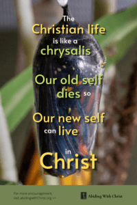 Link to Pinterest pin image of a butterfly cocoon with text that reads "The Christian life is like a Chrysalis. Our old self dies so our new self can live in Christ". 