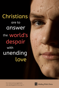 Link to Pinterest pin image of a young person's partially silhouetted face with text that reads "Chrsitians are to answer the world's despair with unending love". 