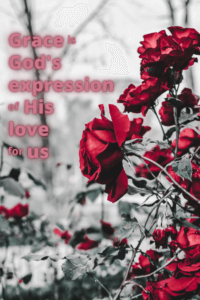 Link to Pinterest pin image of roses with text that reads "Grace is God's expression of His love for us". 