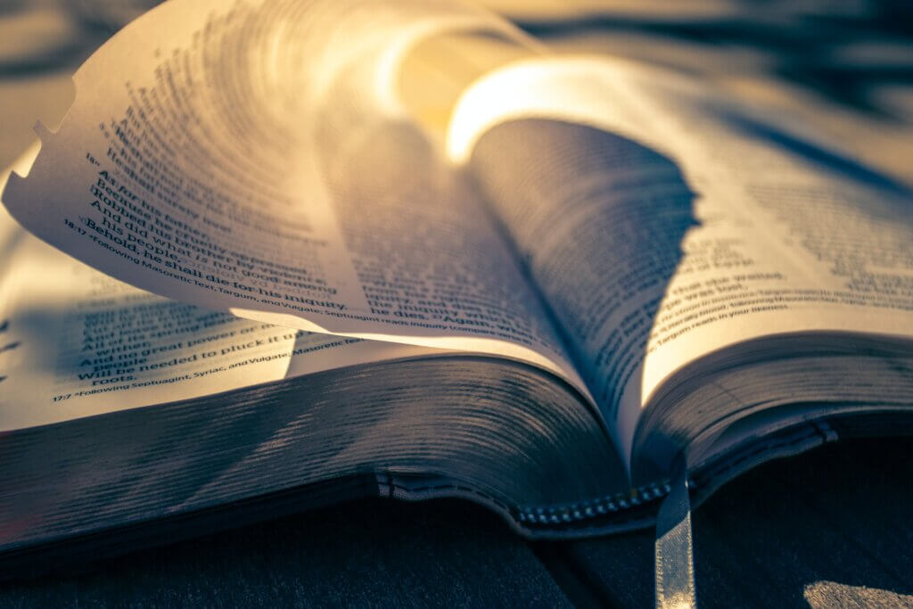 understanding the New Covenant is easier when we examine it in light of former covenants.